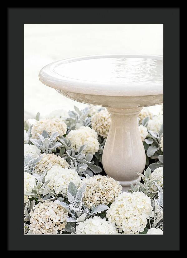 Birdbath Surrounded By Flowers