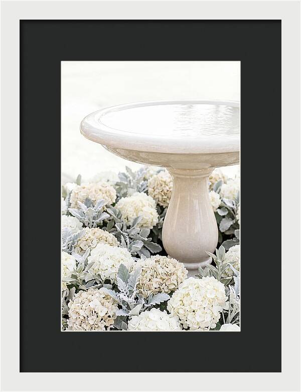 Birdbath Surrounded By Flowers
