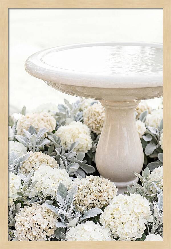 Birdbath Surrounded By Flowers