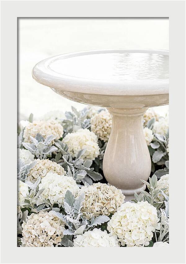 Birdbath Surrounded By Flowers
