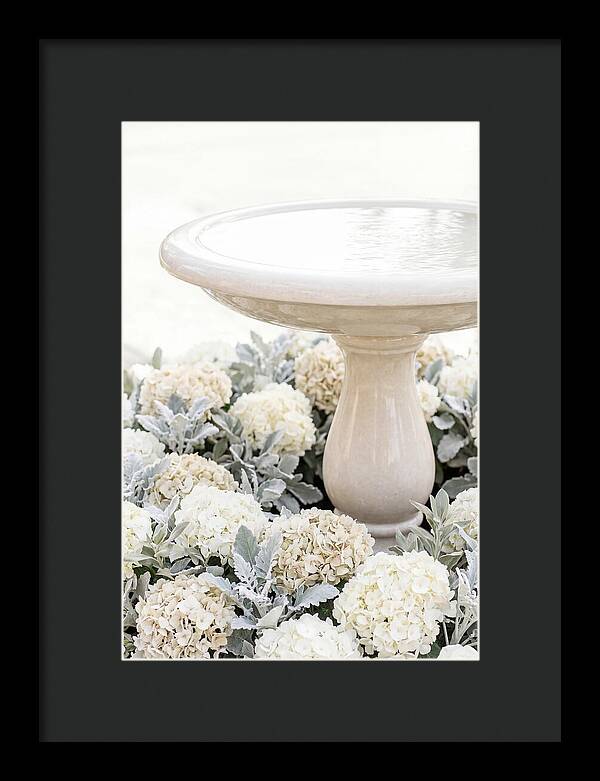 Birdbath Surrounded By Flowers