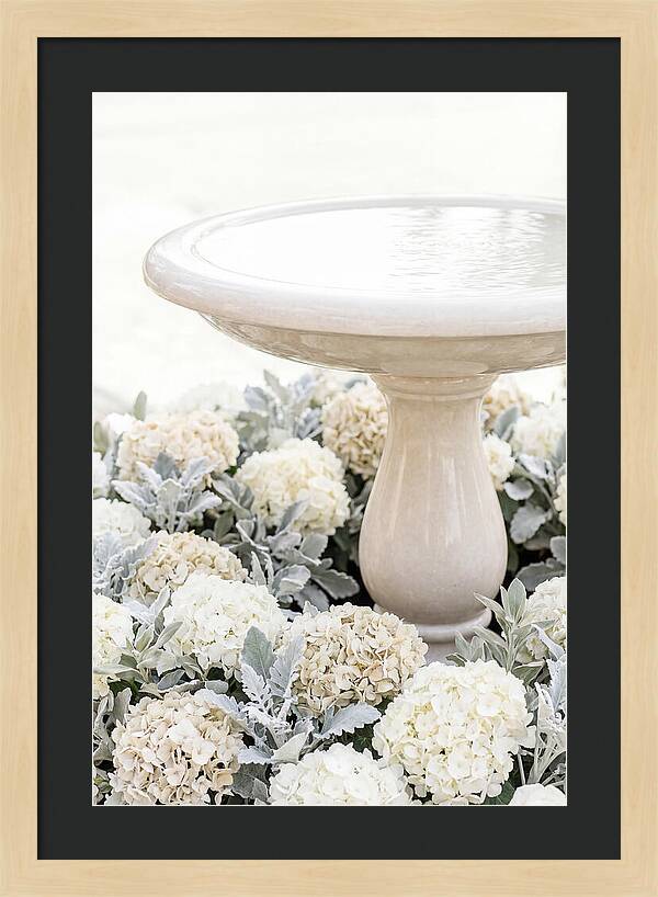 Birdbath Surrounded By Flowers