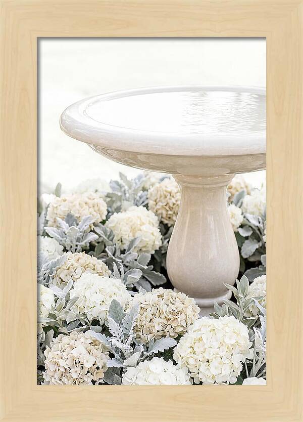 Birdbath Surrounded By Flowers