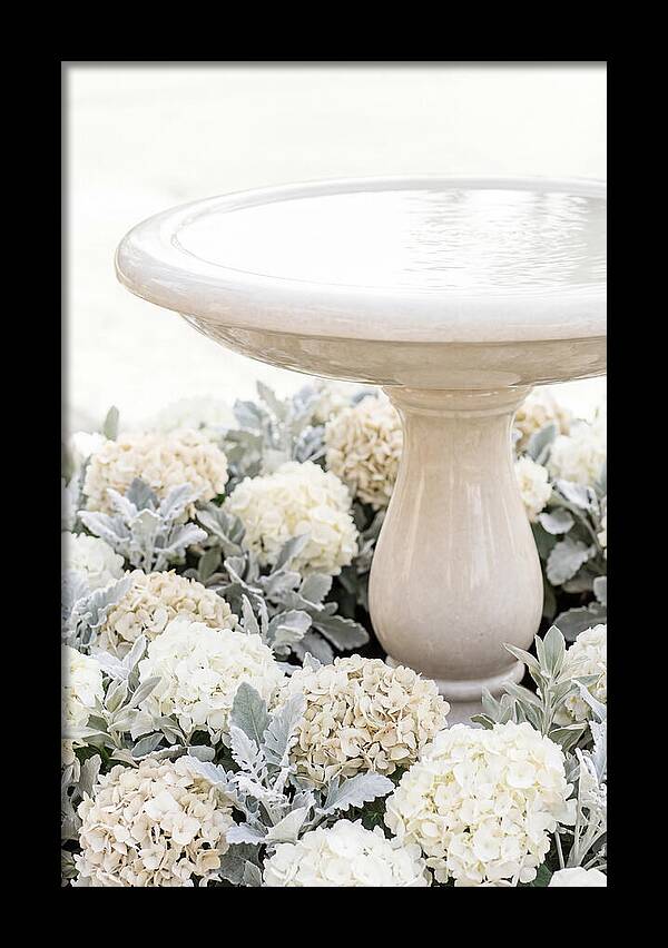 Birdbath Surrounded By Flowers