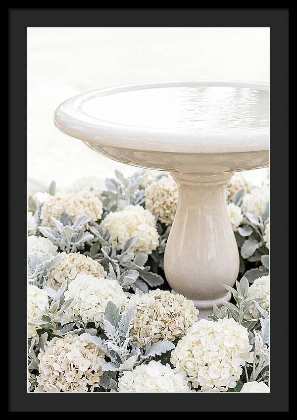 Birdbath Surrounded By Flowers