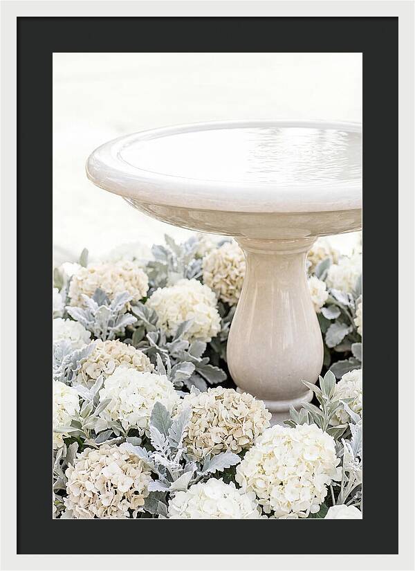 Birdbath Surrounded By Flowers