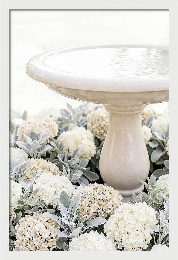 Birdbath Surrounded By Flowers