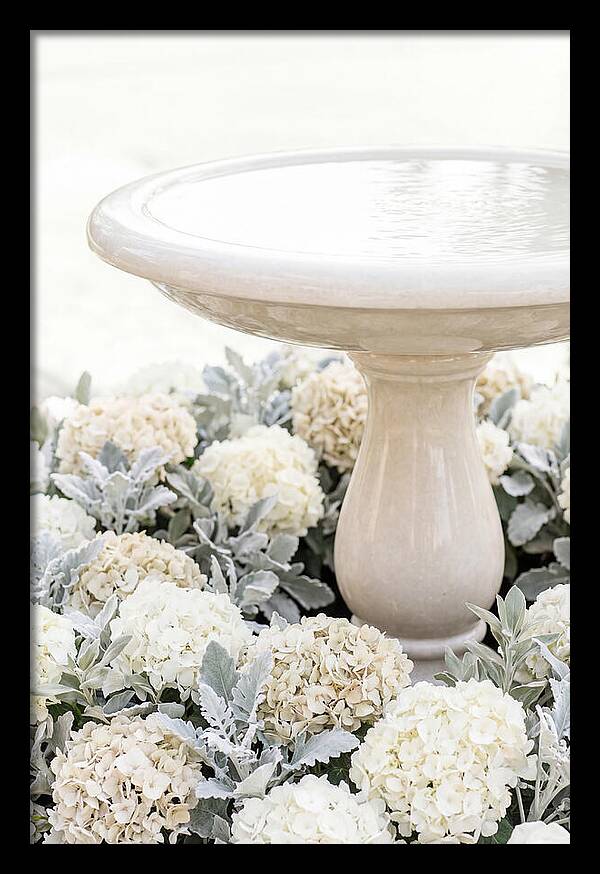 Birdbath Surrounded By Flowers