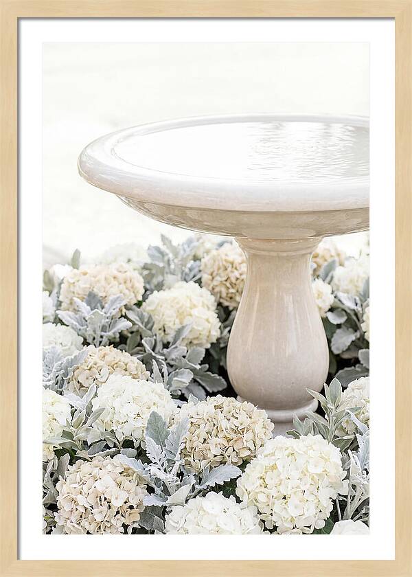 Birdbath Surrounded By Flowers