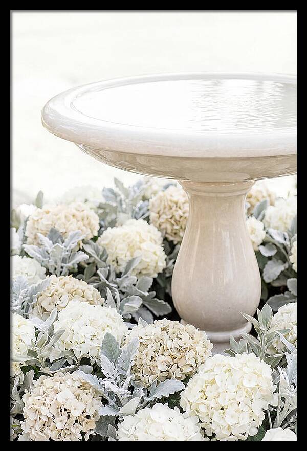 Birdbath Surrounded By Flowers
