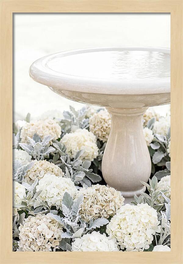 Birdbath Surrounded By Flowers