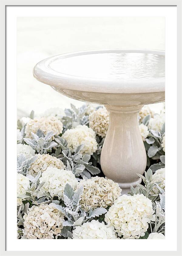 Birdbath Surrounded By Flowers