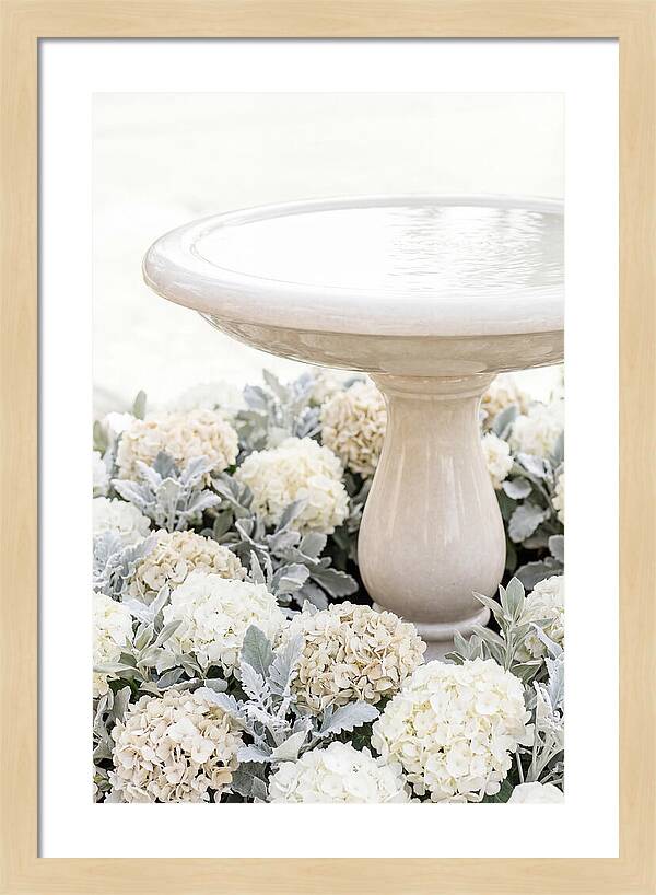 Birdbath Surrounded By Flowers