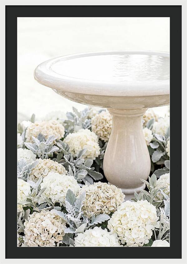 Birdbath Surrounded By Flowers