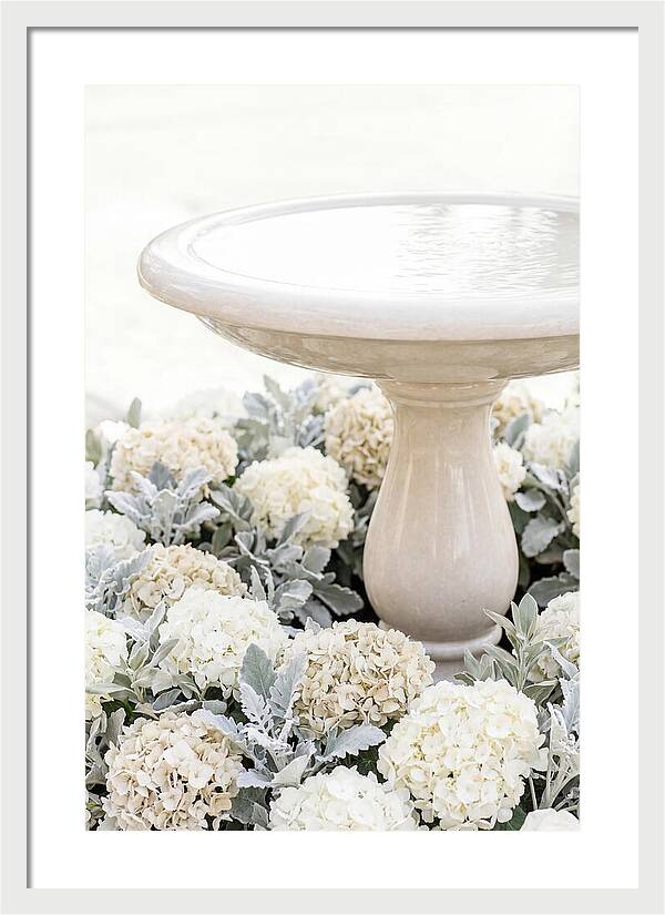 Birdbath Surrounded By Flowers
