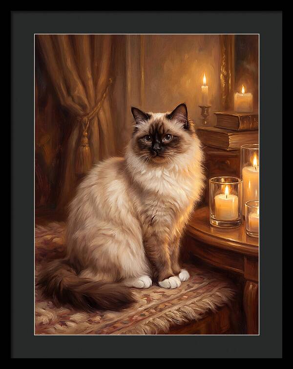 Birman Cat Portrait