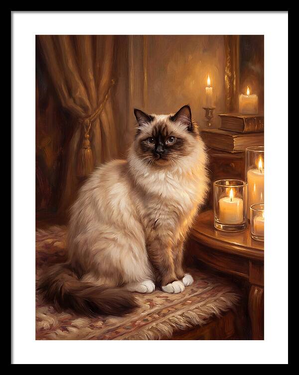 Birman Cat Portrait