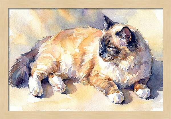 Birman Cat Relaxing In Sunlight