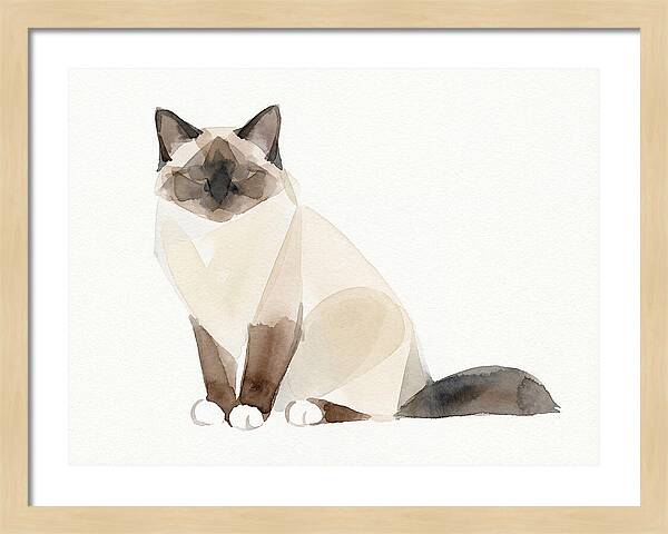 Birman Cat Watercolor Illustration
