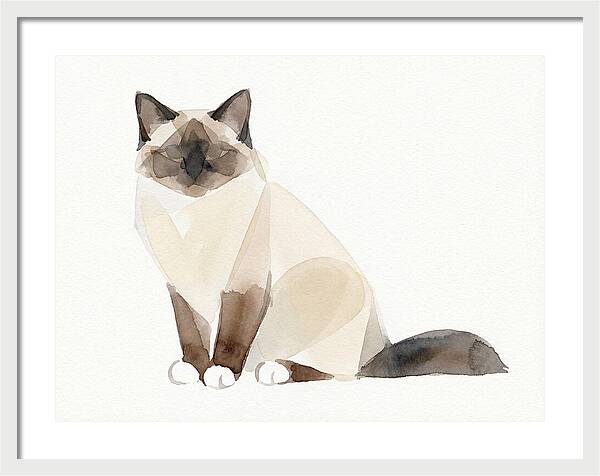 Birman Cat Watercolor Illustration