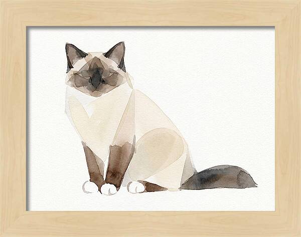 Birman Cat Watercolor Illustration