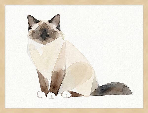 Birman Cat Watercolor Illustration