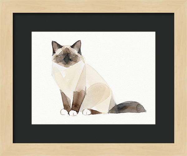 Birman Cat Watercolor Illustration