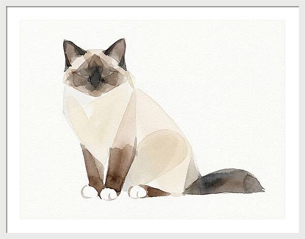 Birman Cat Watercolor Illustration