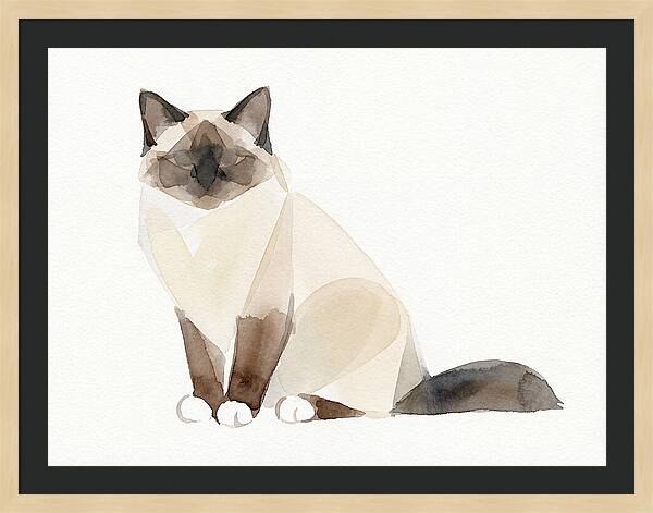 Birman Cat Watercolor Illustration