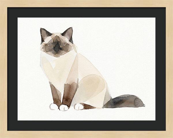 Birman Cat Watercolor Illustration