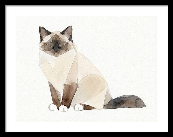 Birman Cat Watercolor Illustration