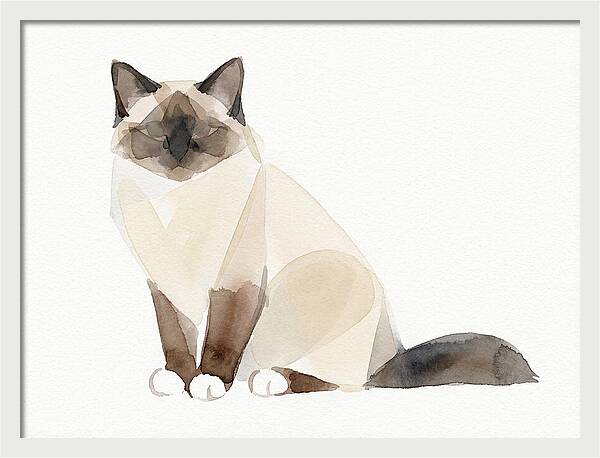 Birman Cat Watercolor Illustration