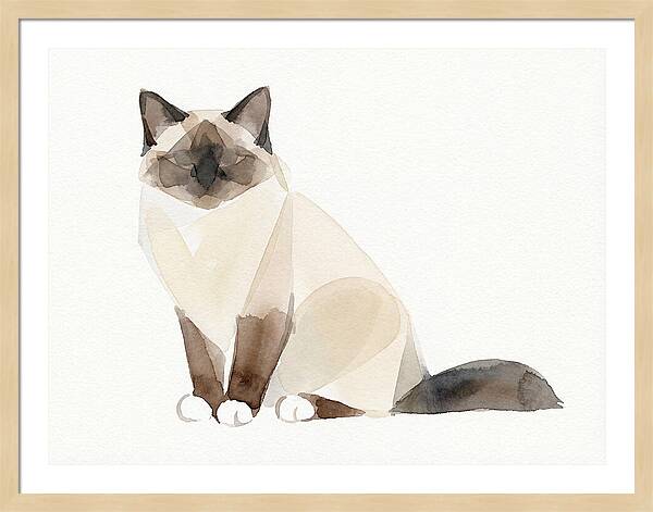 Birman Cat Watercolor Illustration