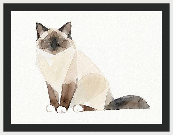 Birman Cat Watercolor Illustration