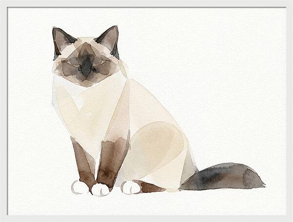 Birman Cat Watercolor Illustration