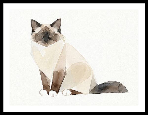 Birman Cat Watercolor Illustration