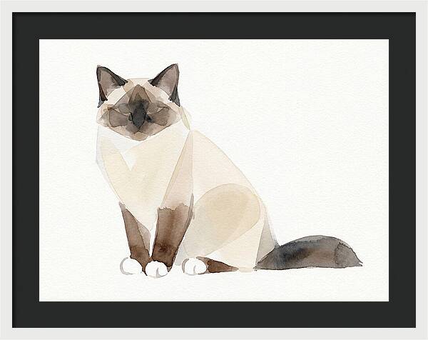 Birman Cat Watercolor Illustration