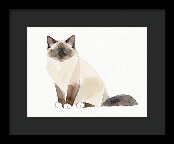 Birman Cat Watercolor Illustration