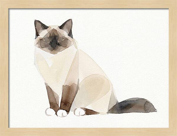 Birman Cat Watercolor Illustration