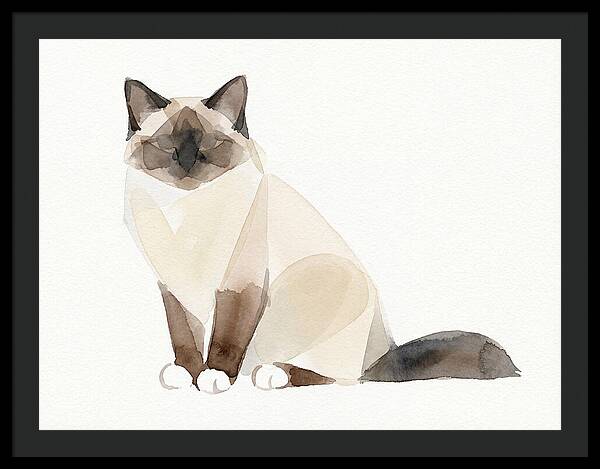 Birman Cat Watercolor Illustration