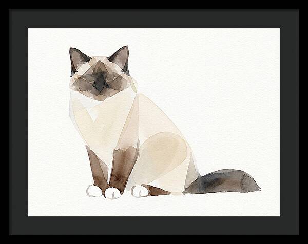 Birman Cat Watercolor Illustration
