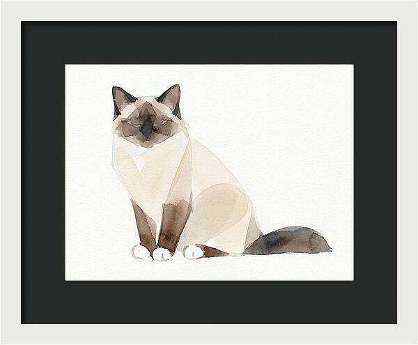 Birman Cat Watercolor Illustration