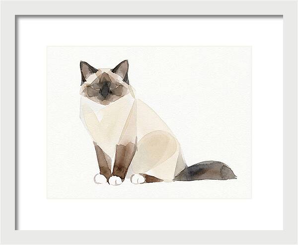 Birman Cat Watercolor Illustration