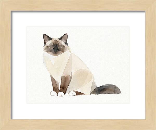 Birman Cat Watercolor Illustration