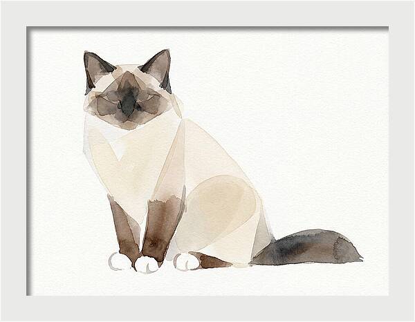 Birman Cat Watercolor Illustration