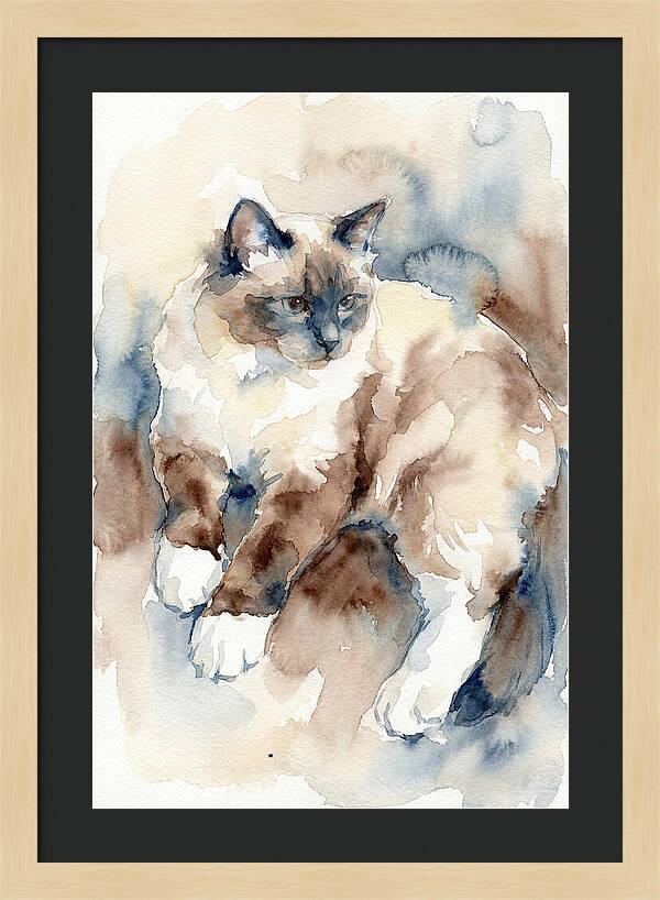 Birman Cat Watercolor Portrait