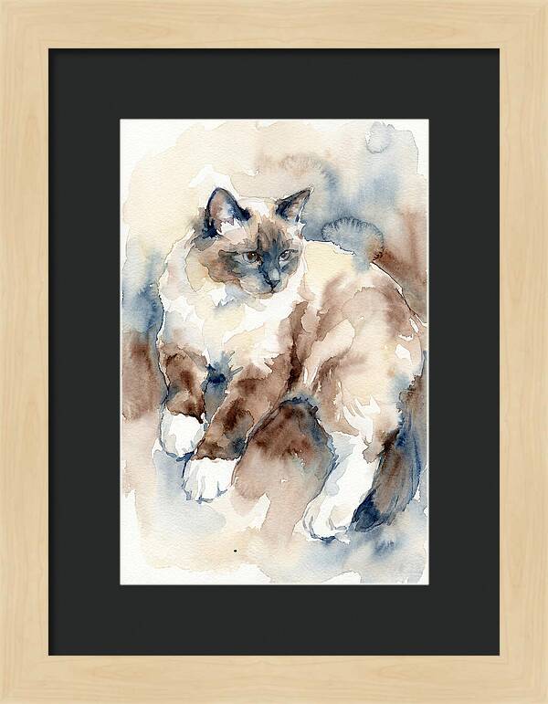 Birman Cat Watercolor Portrait