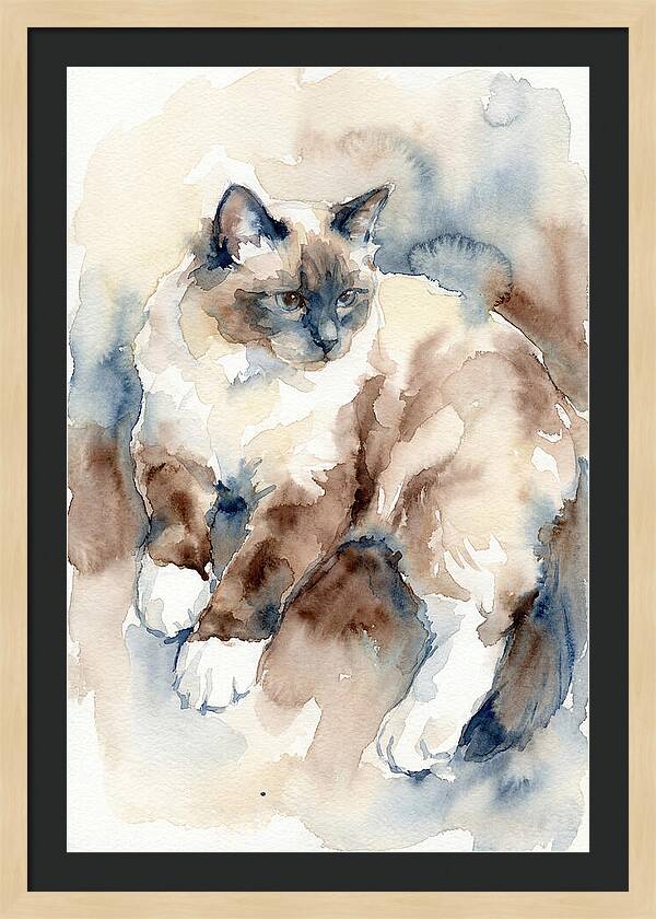 Birman Cat Watercolor Portrait