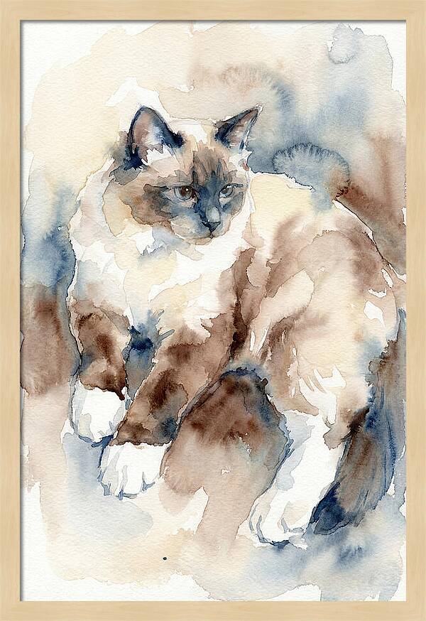 Birman Cat Watercolor Portrait