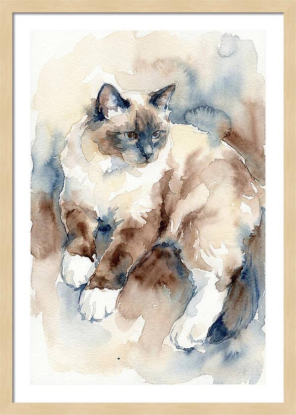 Birman Cat Watercolor Portrait